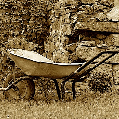 Get in the Wheelbarrow! - Bulletin Digest