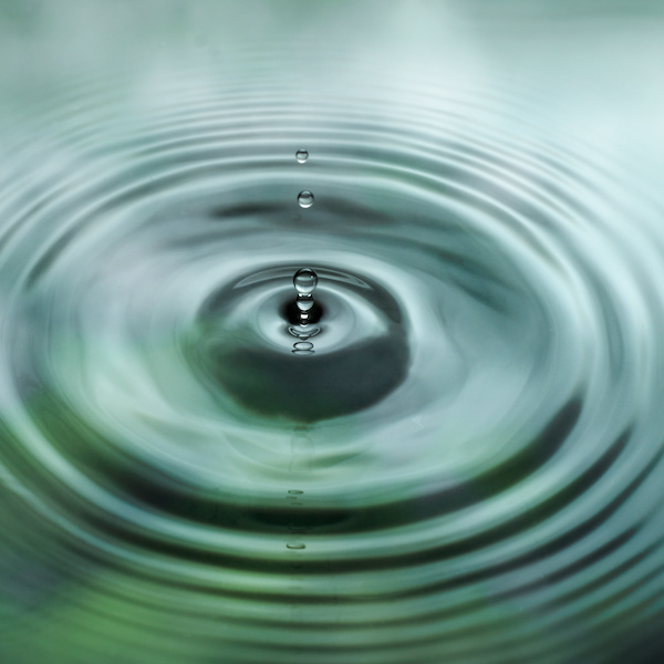 The Ripple Effect Bulletin Digest